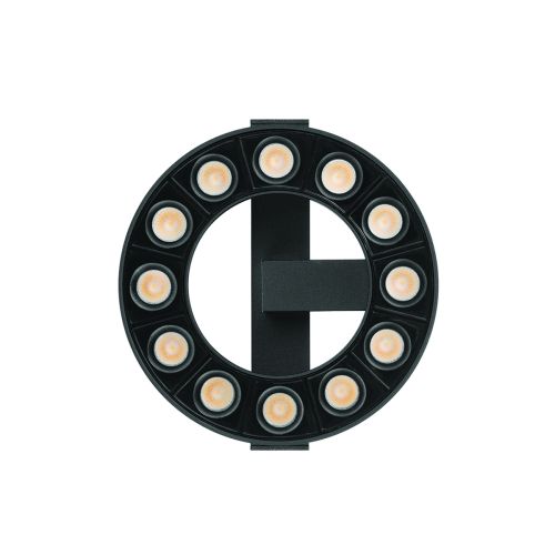 Circle-D12 Magnetic Mini 12W 4000K 34D RA90 24V Black